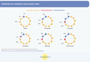 <p>Spending by Category and Auspice 2020</p>